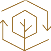 Innovation Award Icon